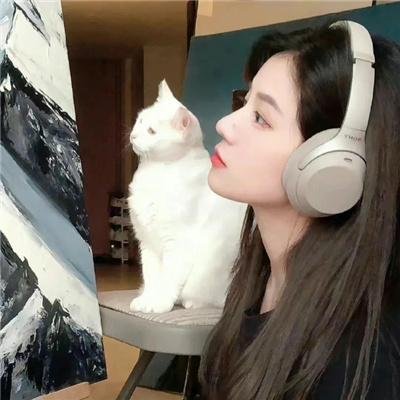 菠萝快递