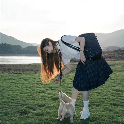 郁金香要开了